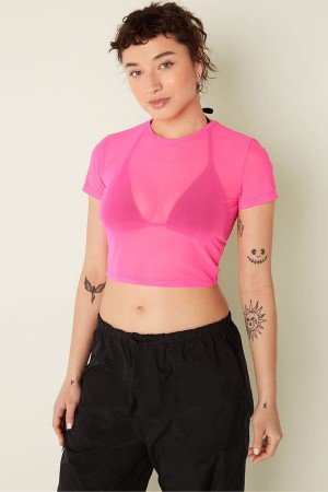 Victoria's Secret Mesh Korta Sleeve T-Shirt Rosa | 1785KZPEW